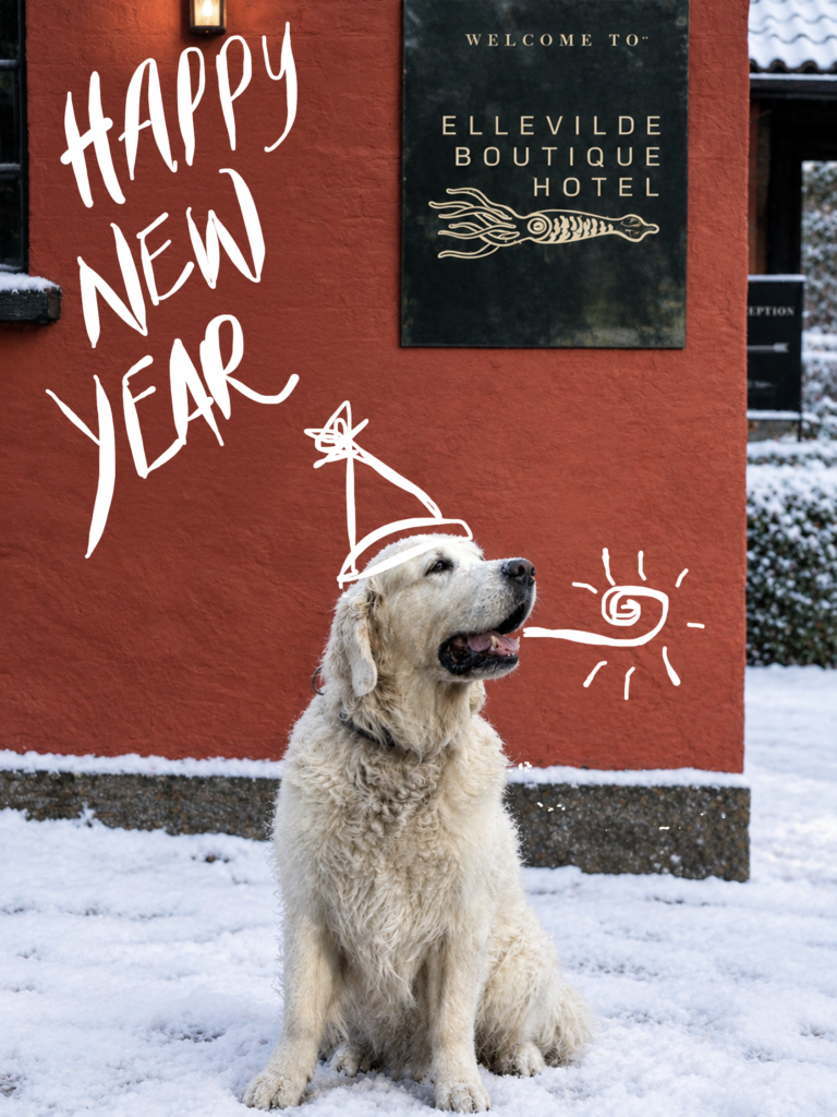 Ellevilde Boutique Hotel