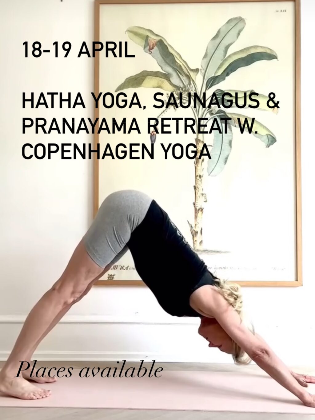 Instagram post from ellevilde.hotel. This post is in position 3.