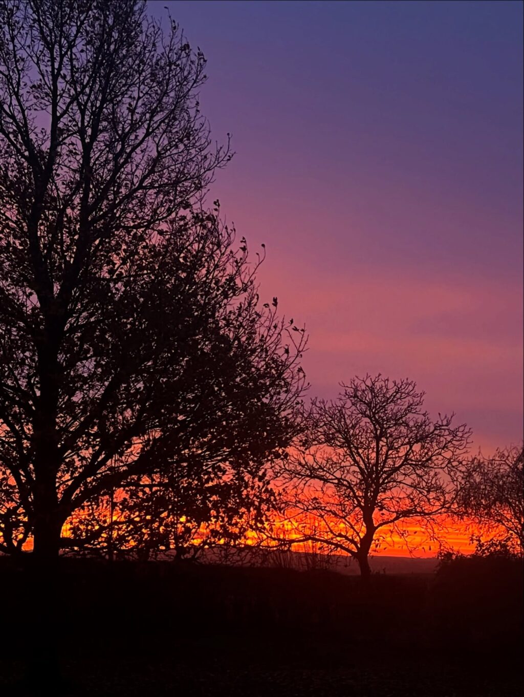 Instagram post from ellevilde.hotel. This post is in position 2.