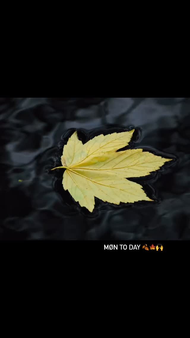 Instagram post from ellevilde.hotel. This post is in position 0.