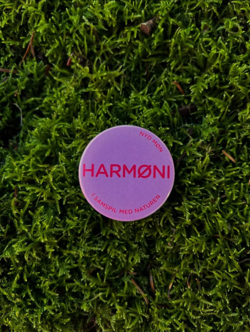 Instagram post from ellevilde.hotel. This post is in position 11.