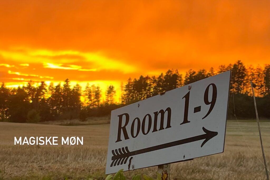 Instagram post from ellevilde.hotel. This post is in position 4.