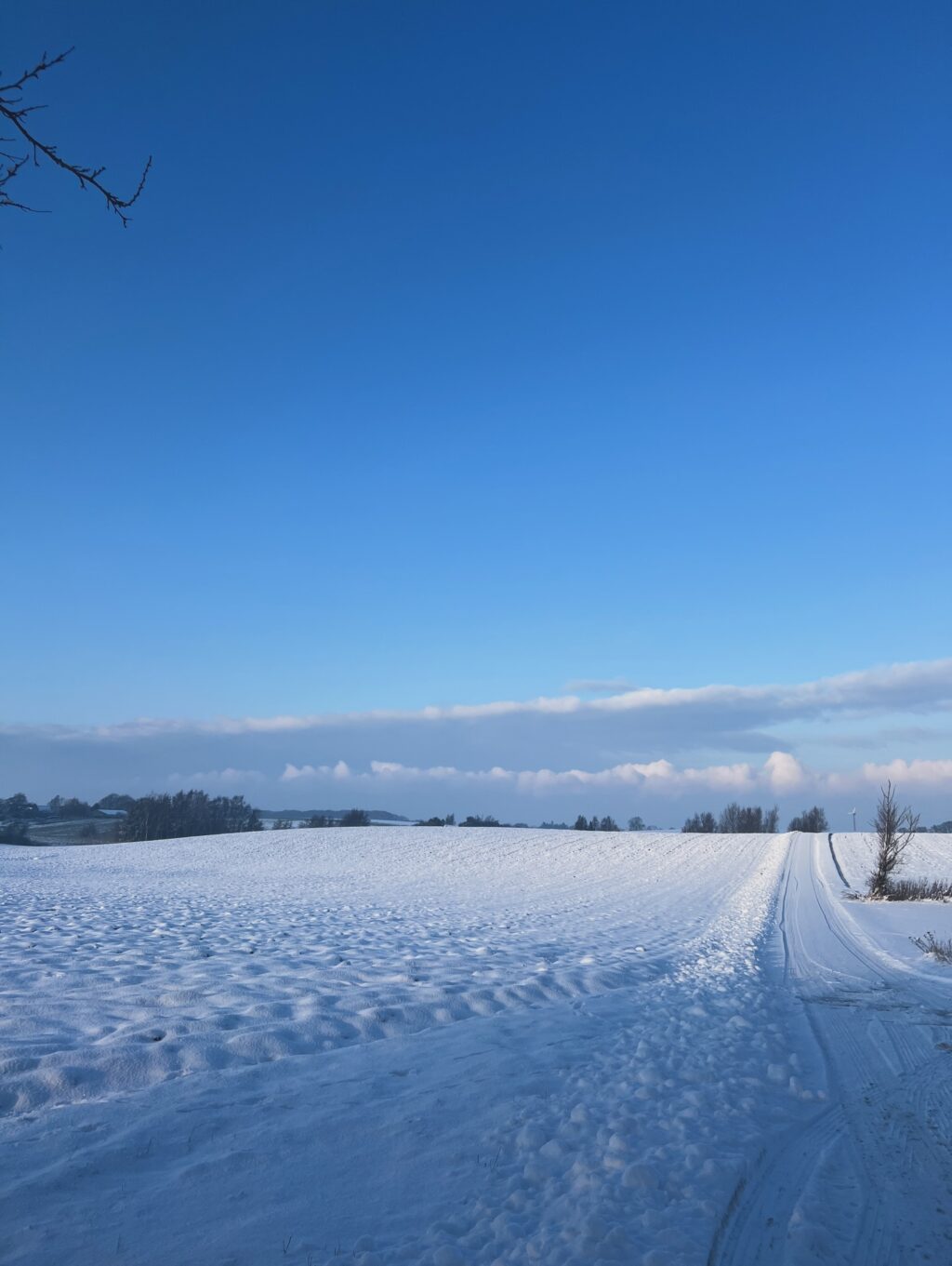 Instagram post from ellevilde.hotel. This post is in position 9.