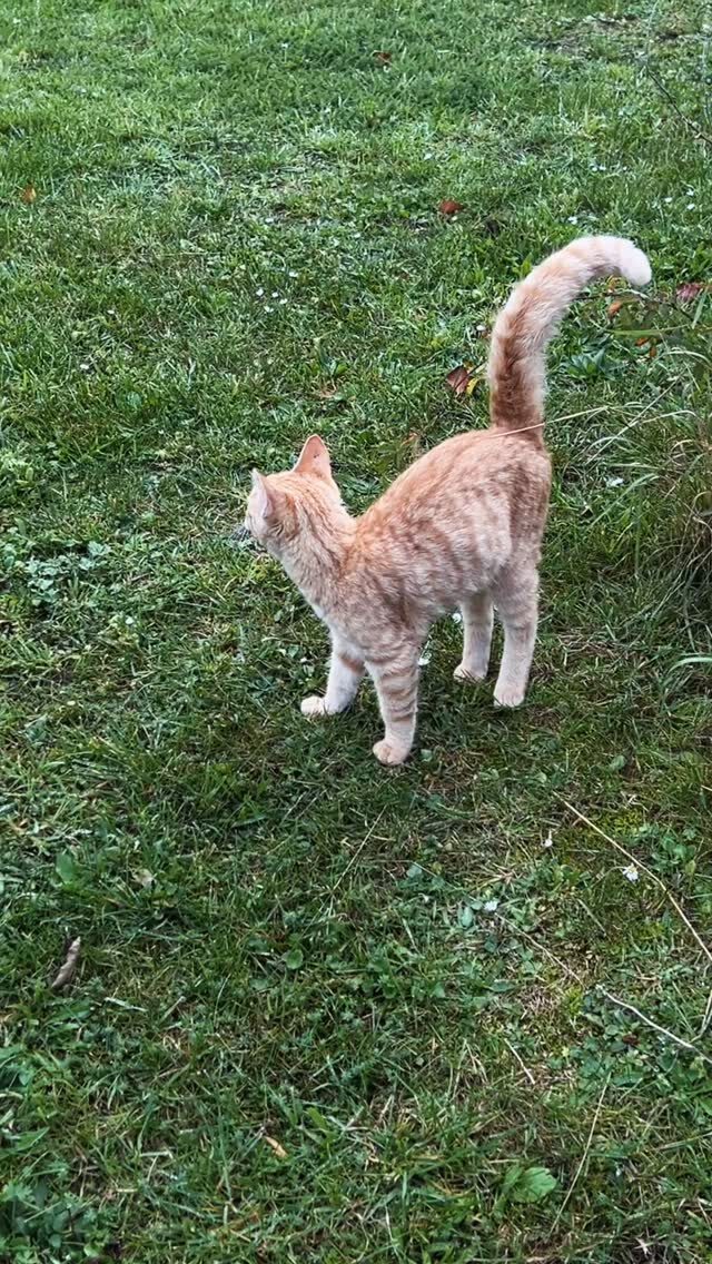 Instagram post from ellevilde.hotel. This post is in position 1.