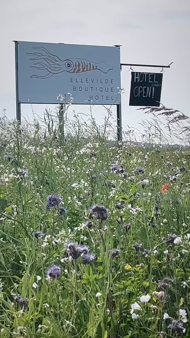 Instagram post from ellevilde.hotel. This post is in position 1.