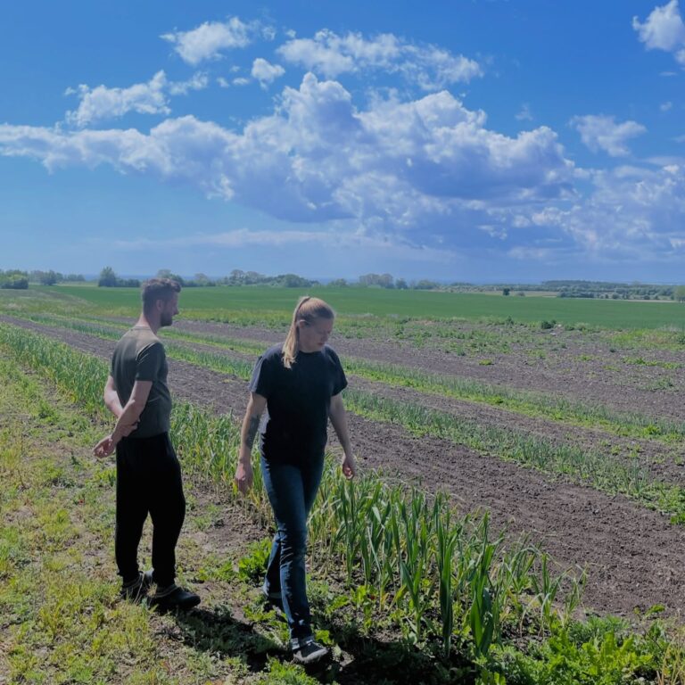 Instagram post from ellevilde.hotel. This post is in position 4.