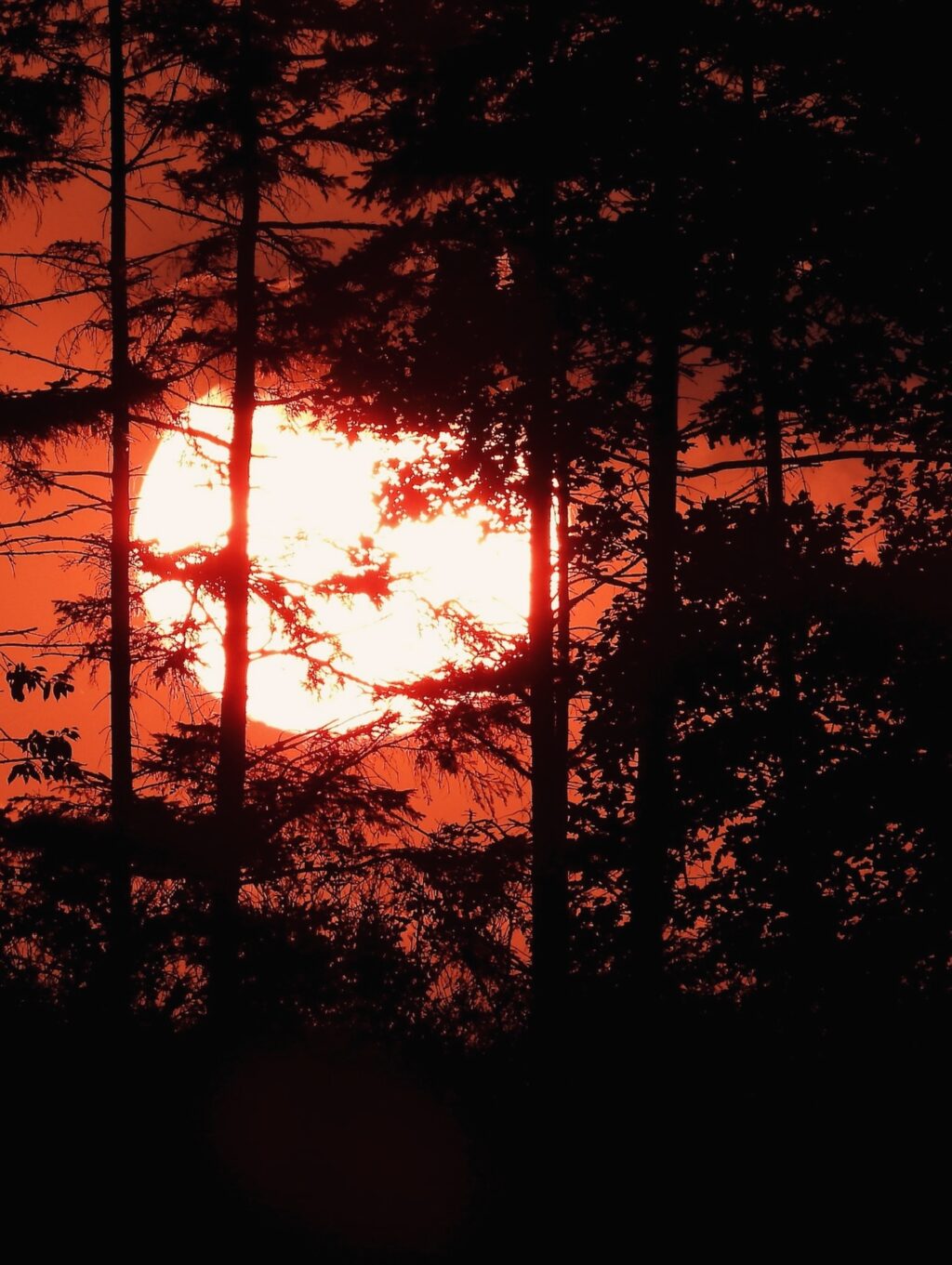 Instagram post from ellevilde.hotel. This post is in position 15.