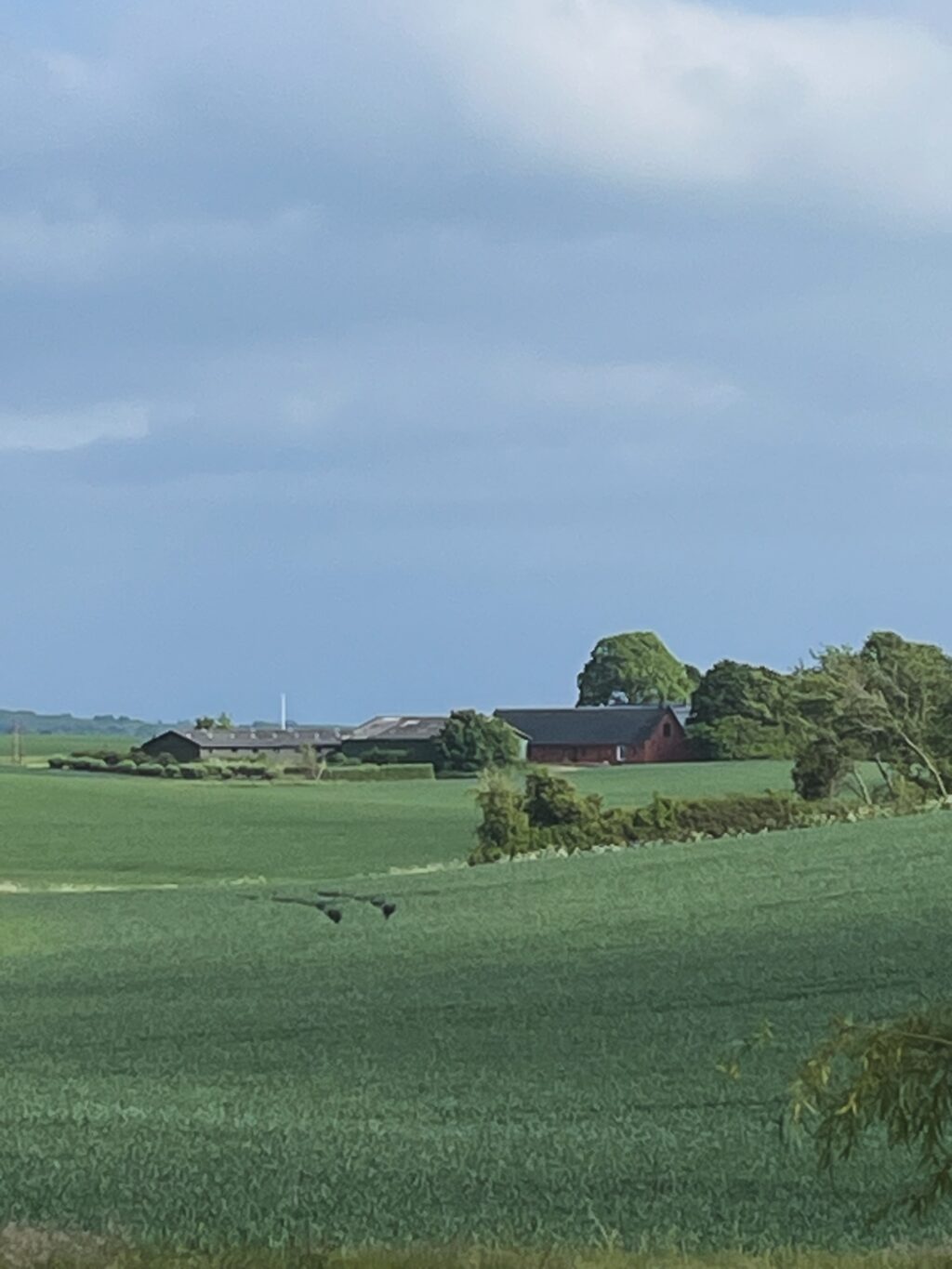 Instagram post from ellevilde.hotel. This post is in position 2.