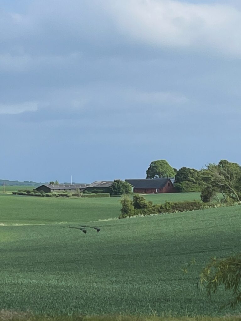 Instagram post from ellevilde.hotel. This post is in position 3.