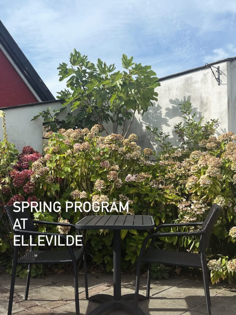 Instagram post from ellevilde.hotel. This post is in position 4.